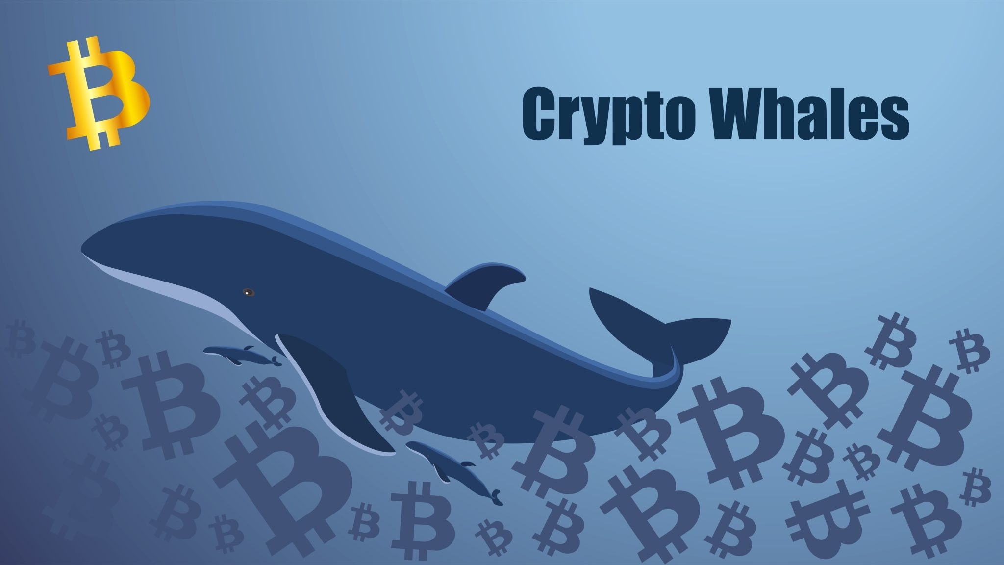 暗号クジラとは何か： 暗号通貨市場の巨人たちの影響力と戦略